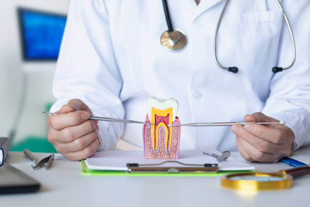 Best Emergency Treatment for Toothache in Hanceville, AL